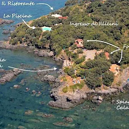 Hotel Illicini Stabilimento Balneare E Maratea