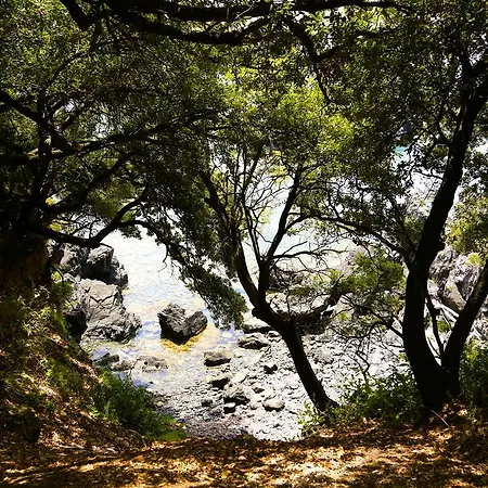 Illicini Stabilimento Balneare E 3*